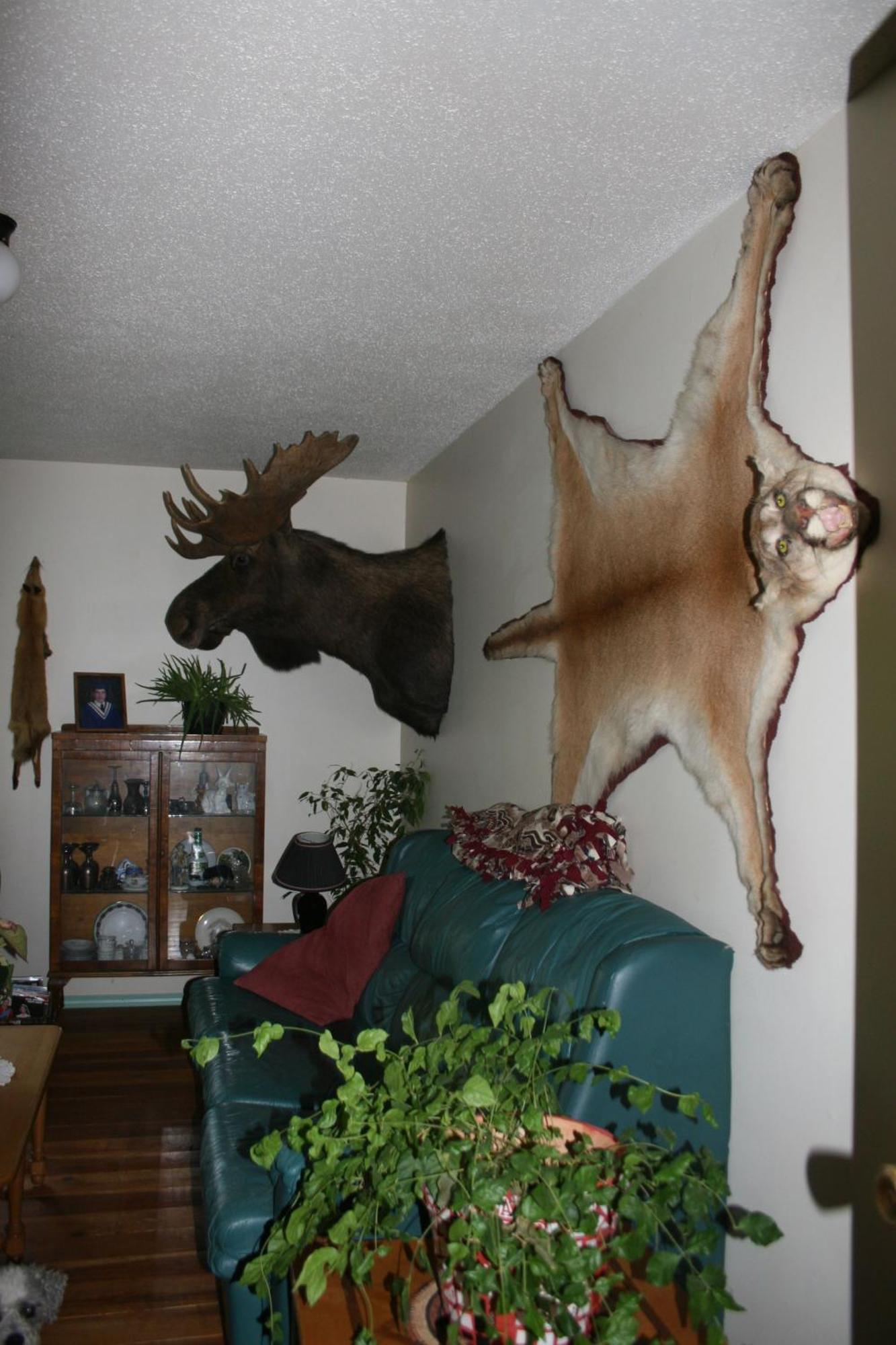 Dunphy'S Bed And Breakfast Parson Esterno foto